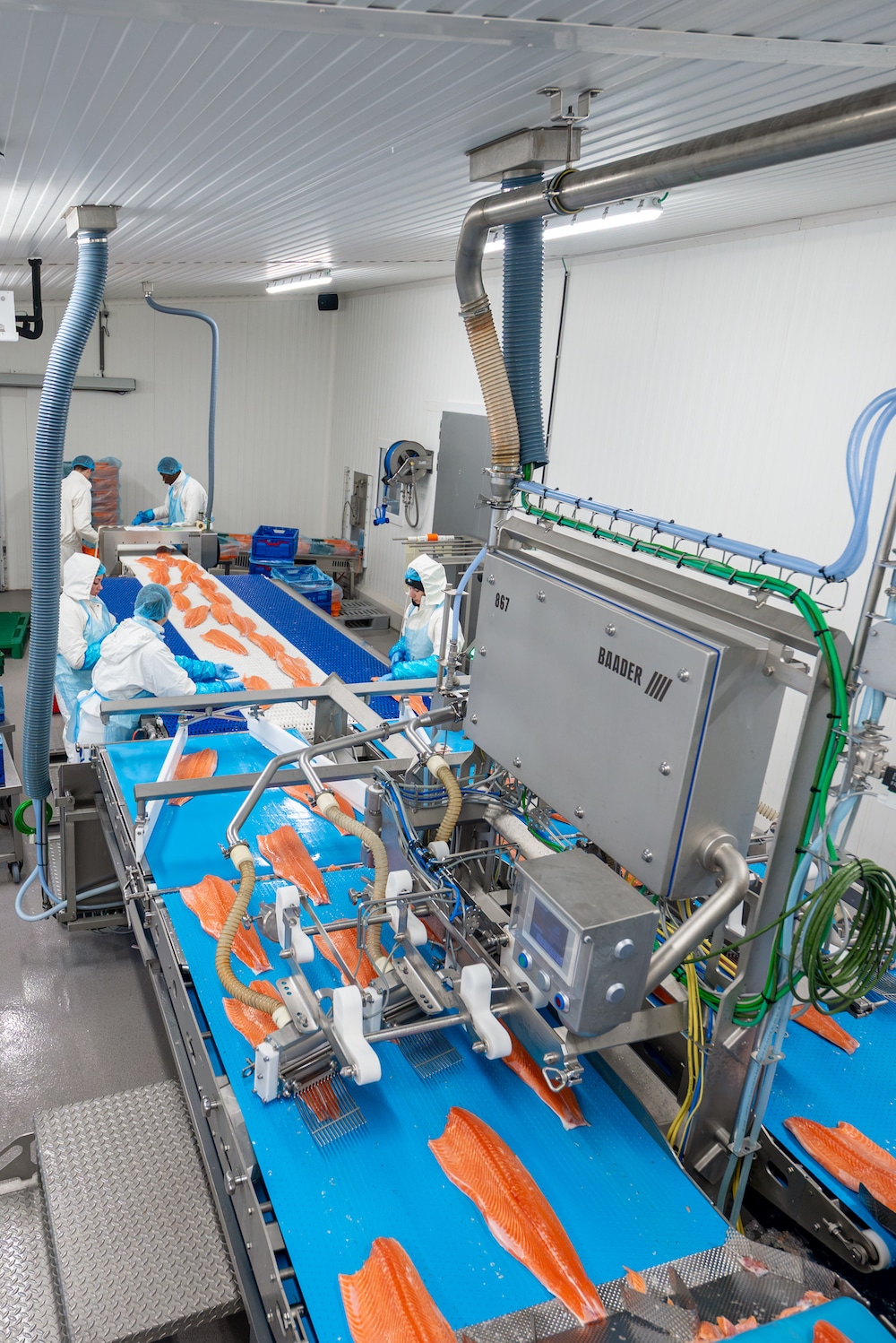 CPS processing by Photos by Bram-75